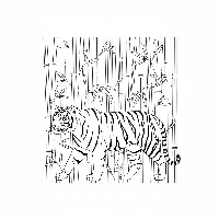 Indian Tiger Prowling Bamboo Forest Free Printable Coloring Page