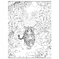 Young Indian Leopard exploring jungle path coloring page for kids
