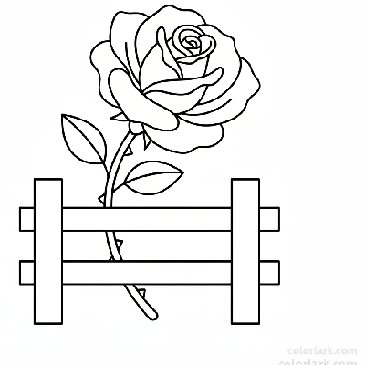 Simple rose on a fence coloring page for young children, black and white line art, easy flower and garden fence drawing.