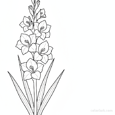 Black and white line art of a tall gladiolus stalk with several large, trumpet-shaped flowers in a vertical spike and sword-like leaves.