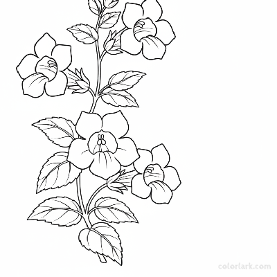 Black and white line art of a simple Torenia (Wishbone flower) with trumpet-shaped petals and wishbone stamen, on a slender stem with leaves.