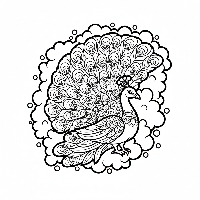 Stylized peacock coloring page with Holi color splashes