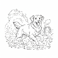 Joyful dog playing in vibrant Holi colors, free printable coloring page.