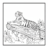 Indian tiger stretching on fallen log coloring page