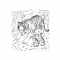 Free printable Indian tiger mother teaching cubs to hunt coloring page.