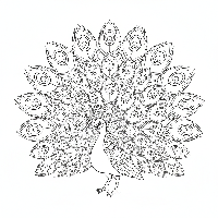 Intricate peacock and butterfly duo wildlife coloring page - free printable