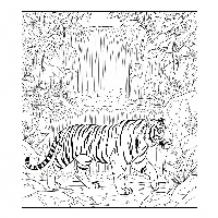Free printable Indian Tiger walking towards jungle waterfall coloring page.