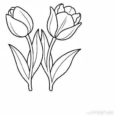 Black and white line art of two simple tulip flowers, with cup-shaped blooms, thick stems, and broad leaves.