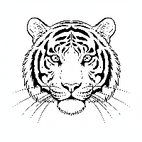 Indian Tiger portrait coloring page, direct stare, majestic.