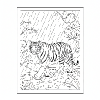 Indian tiger walking through rain and puddles coloring page for kids.