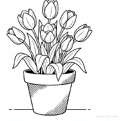Line art illustration of tulips growing in a vintage terra cotta pot