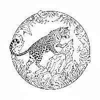 Indian Leopard scent marking rock coloring page.