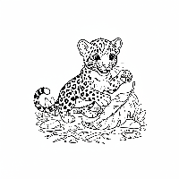 Playful Indian leopard cub swatting at a fallen leaf coloring page.