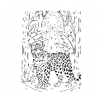 Mystical Indian Leopard under moonlight free printable coloring page.