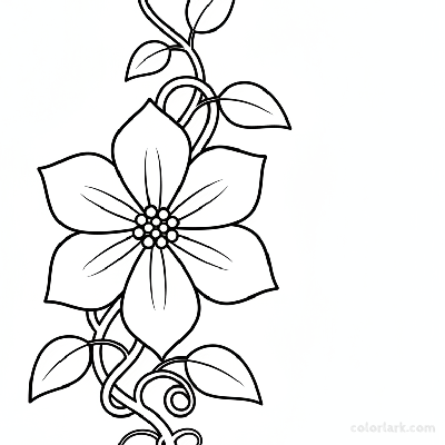 Black and white line art of a simple clematis flower blooming on a climbing vine with large, flat petals, central stamens, leaves, and tendrils.