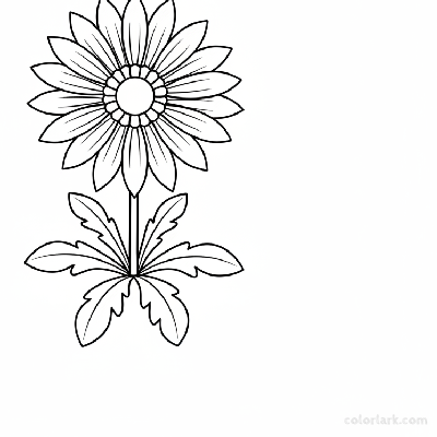 Black and white line art of a single gazania flower with clearly defined petals radiating from a central disc, stem, and leaves.