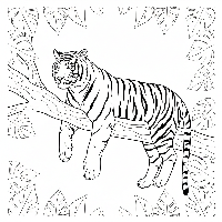 Indian tiger lounging on tree branch coloring page
