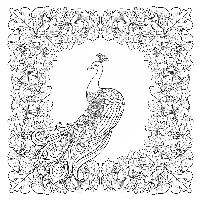 Free printable Peacock with autumn leaves border coloring page for kids and adults.