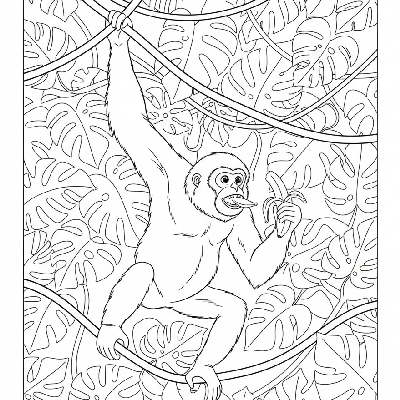 Black and white line art of an agile Gibbon monkey swinging from a vine, eating a banana.
